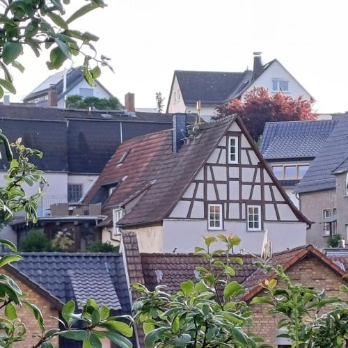 Auszeit Rheingauer Rosengarten — hotel in Geisenheim