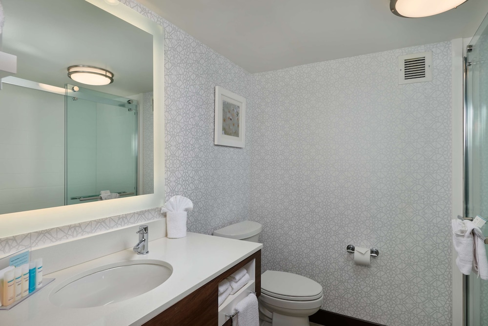 Hampton Inn Fairfax City - photo 33