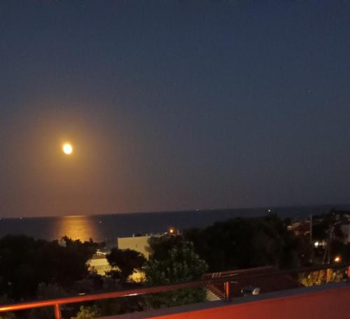 Salty Sea Breeze in Artemida, Greece