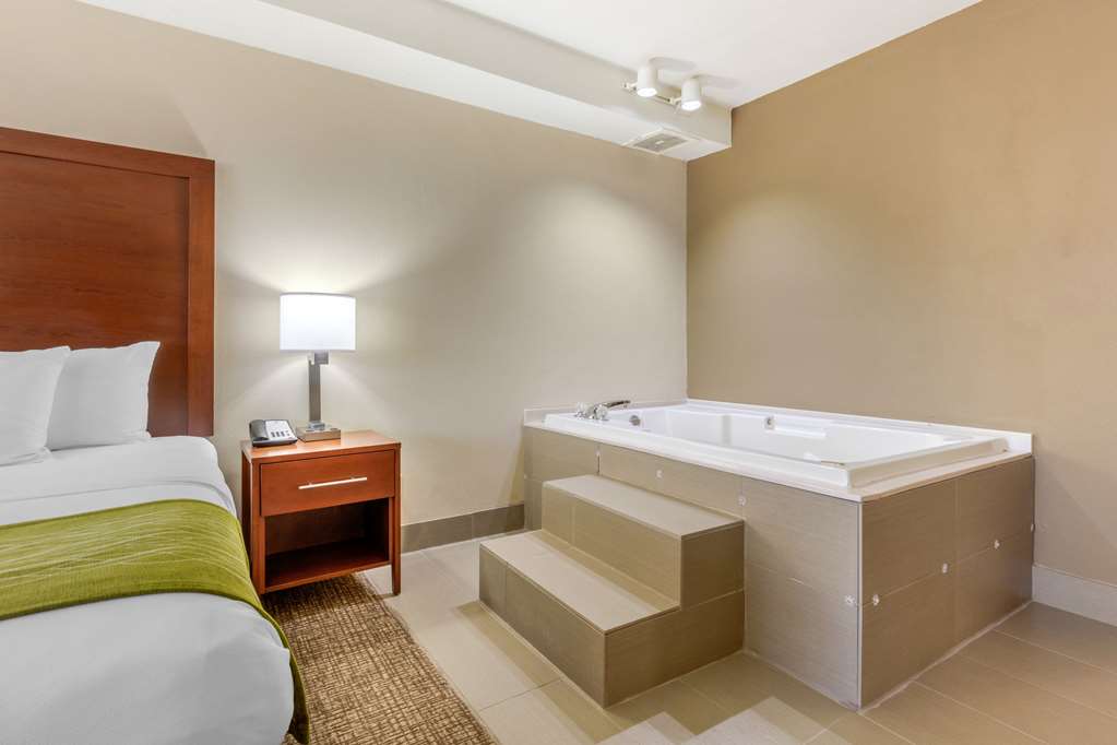 Comfort Inn Lenoir City Knoxville - photo 19