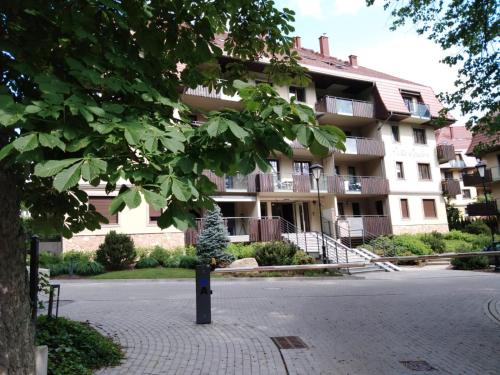 Apartament z pięknym widokiem Polanica Ogrodowa Wille Parkowe — 4-Star Luxury Hotel in Polanica-Zdroj, Poland