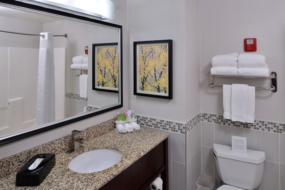 Holiday Inn Express & Suites New Berlin by IHG - photo 19