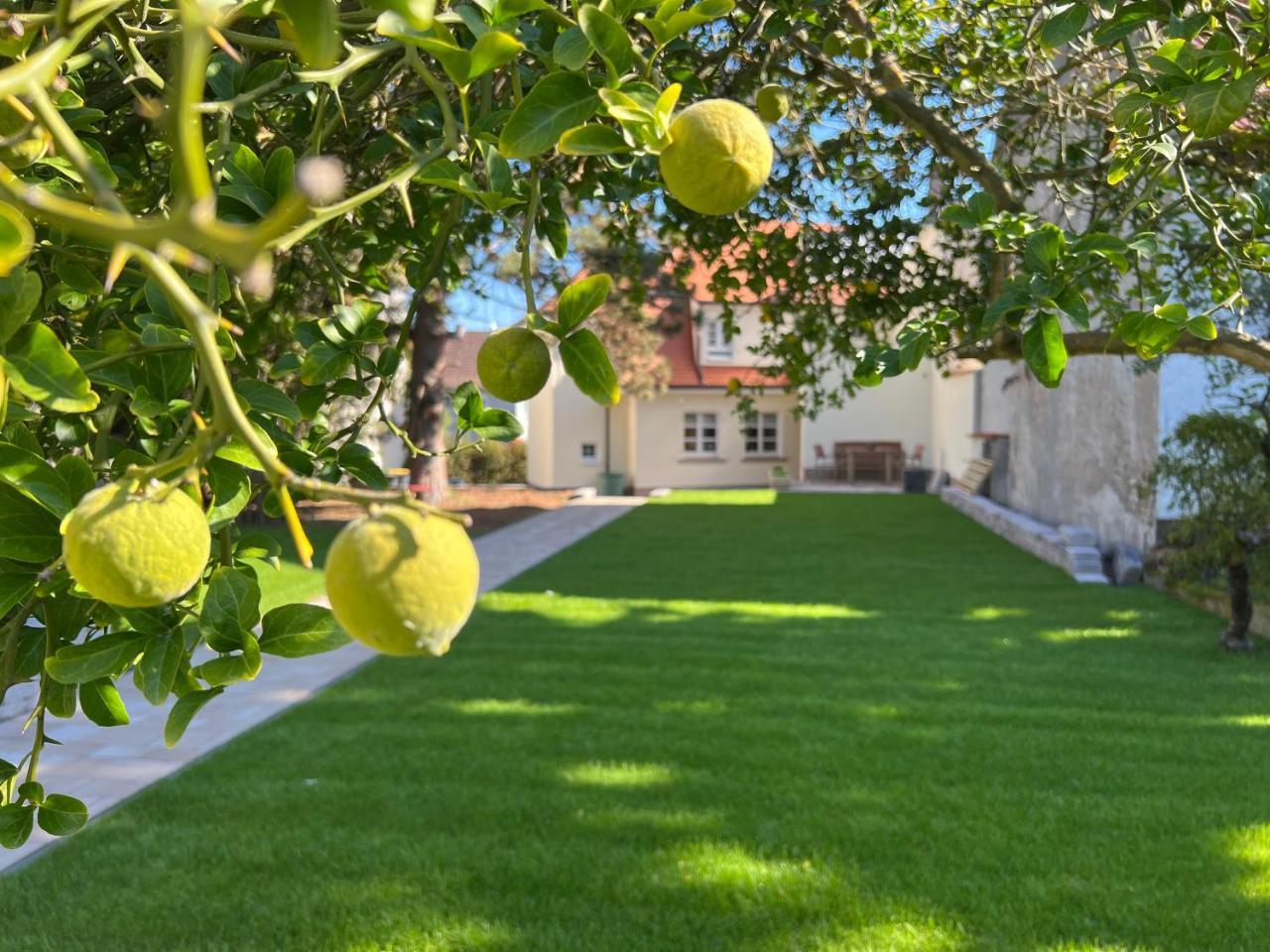 Das Sommerhaus in Bingen Am Rhein — hotel in Bingen Am Rhein