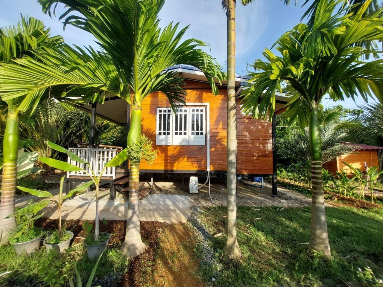 Lung Nui Dates Palm Farm - last minute hotel in Unknown City
