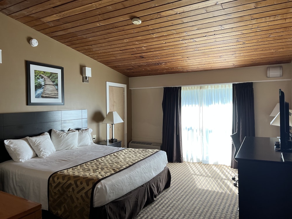 The Putney Inn - photo 7