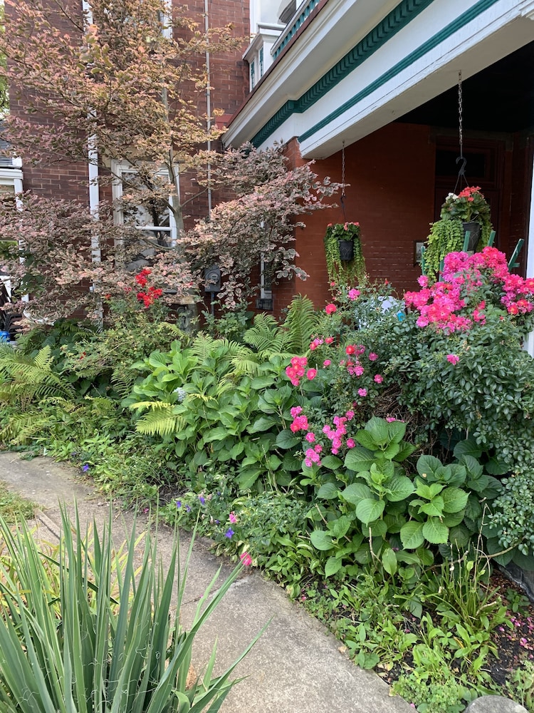 The Shepherd's Inn - photo 18