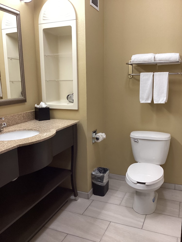 Holiday Inn Express &Suites Snyder by IHG - photo 18