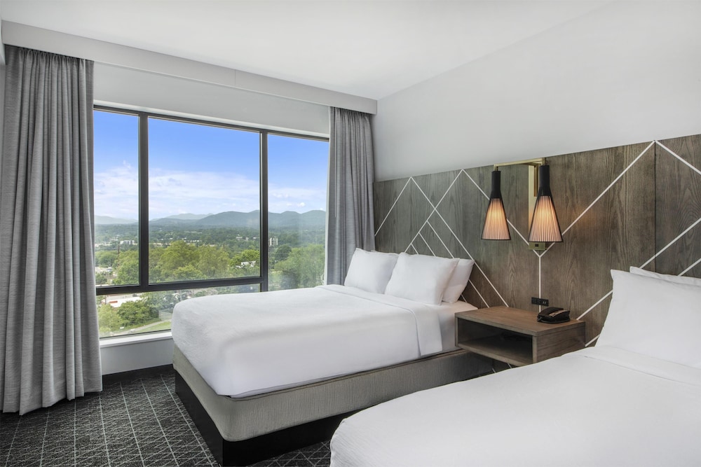 Embassy Suites By Hilton Asheville Downtown - photo 17