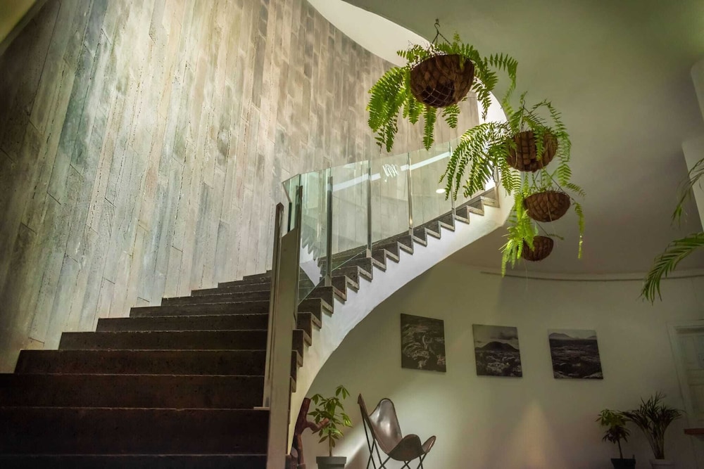Hyde Park Lane — Puerto Del Carmen — photo 3