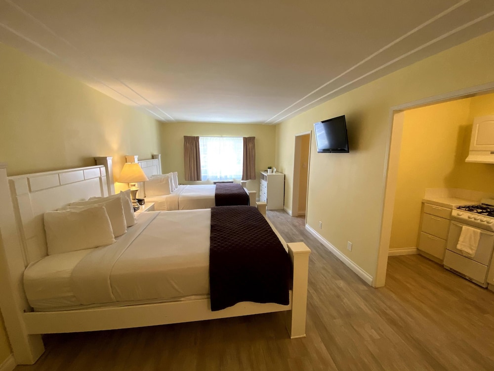 Hollywood Celebrity Hotel - photo 25