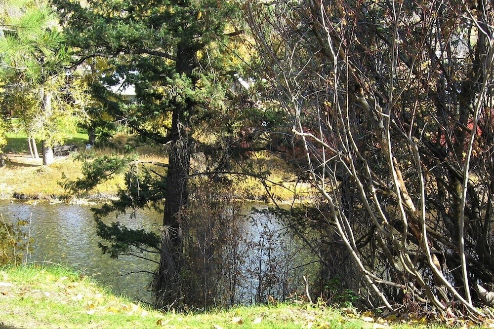 Virginian Resort - photo 46