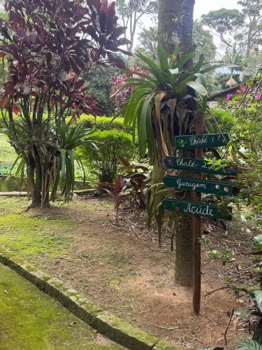 Sítio Pajuçara Chalé 2 Dentro do Parque Nacional da Serra dos Órgãos Acesso ao açúde e cachoeira dentro da propriedade in Guapimirim, Brasil