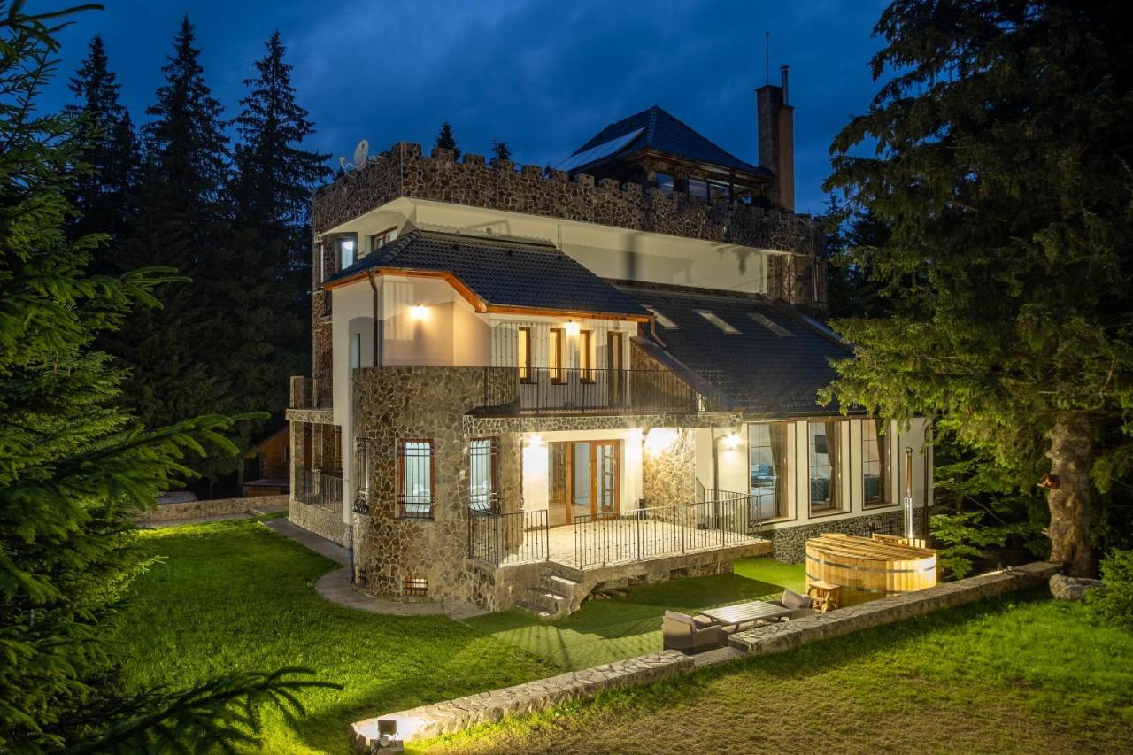 Castelul De Piatra — Paltinis
