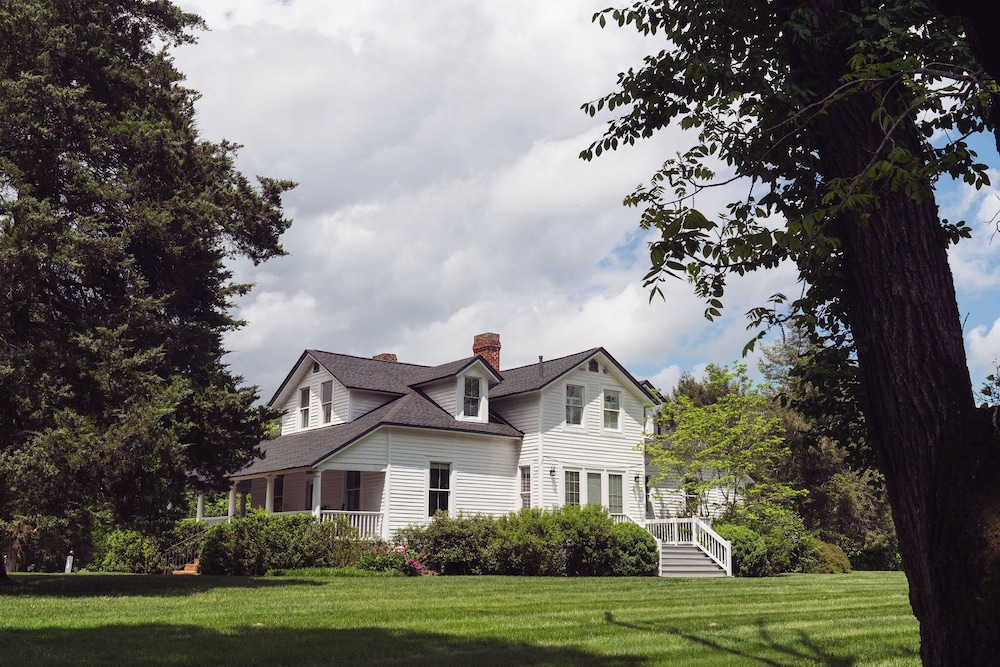 The Clifton - photo 95