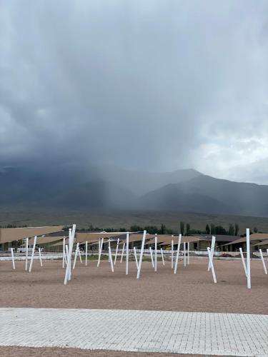 PalmBeach2025 in Unknown City, Kyrgyzstan