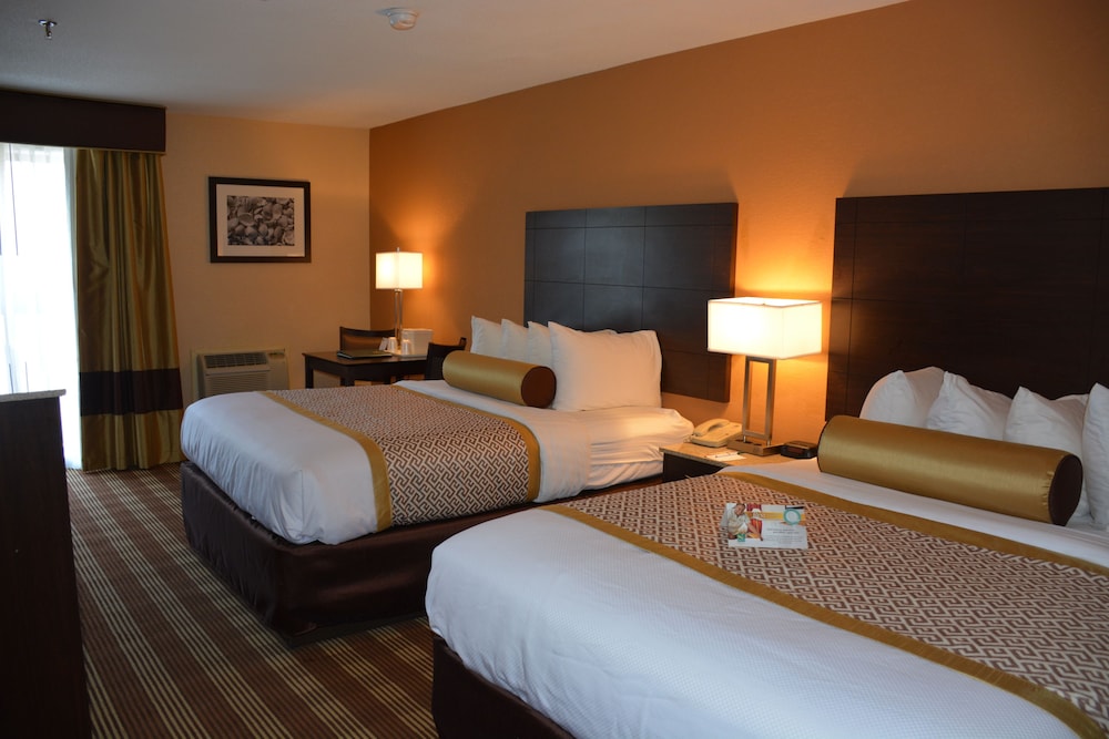 Cape Cod Hotel - photo 7