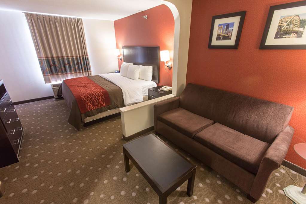 Comfort Inn Pittsburgh Crafton - photo 28