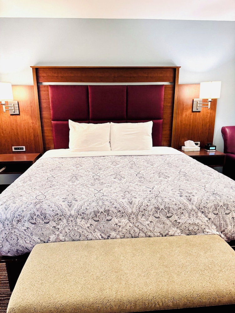 Morgan Inn And Suites - photo 9