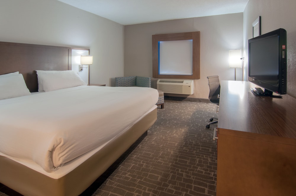 Holiday Inn Express Hotel & Suites Spence Lane by IHG - photo 9