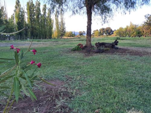 Finca La Chiqueta — Albardon — photo 5