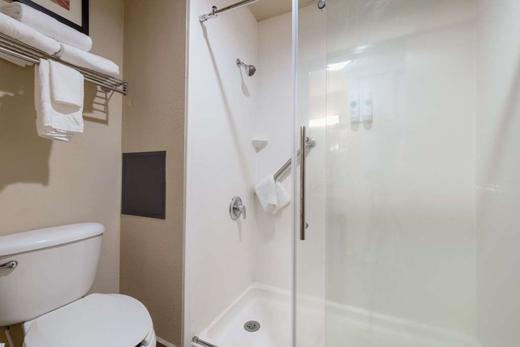 Comfort Inn & Suites Alamosa - photo 41