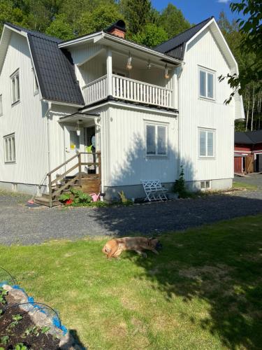 Täppan - carbon neutral hotel in Unknown City