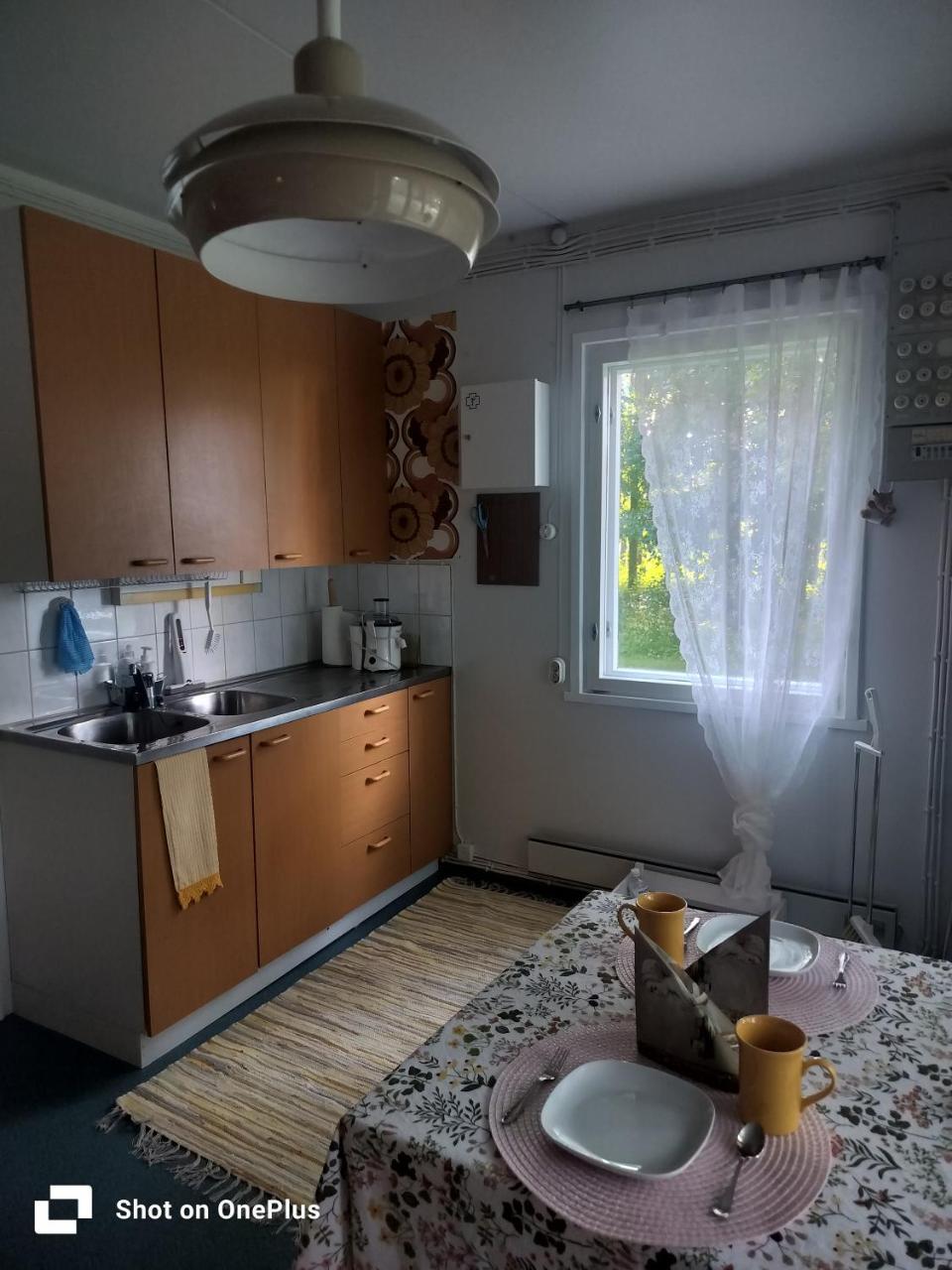 Retro House — Savonlinna — photo 4