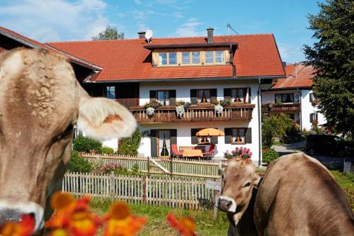 Ferienhaus Kögel — 4-Star Luxury Hotel in Nesselwang, Germany
