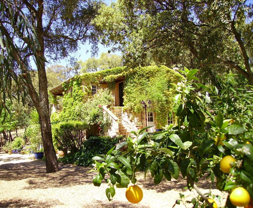 Le Bastidon Saint Michel in Sainte-Maxime, France