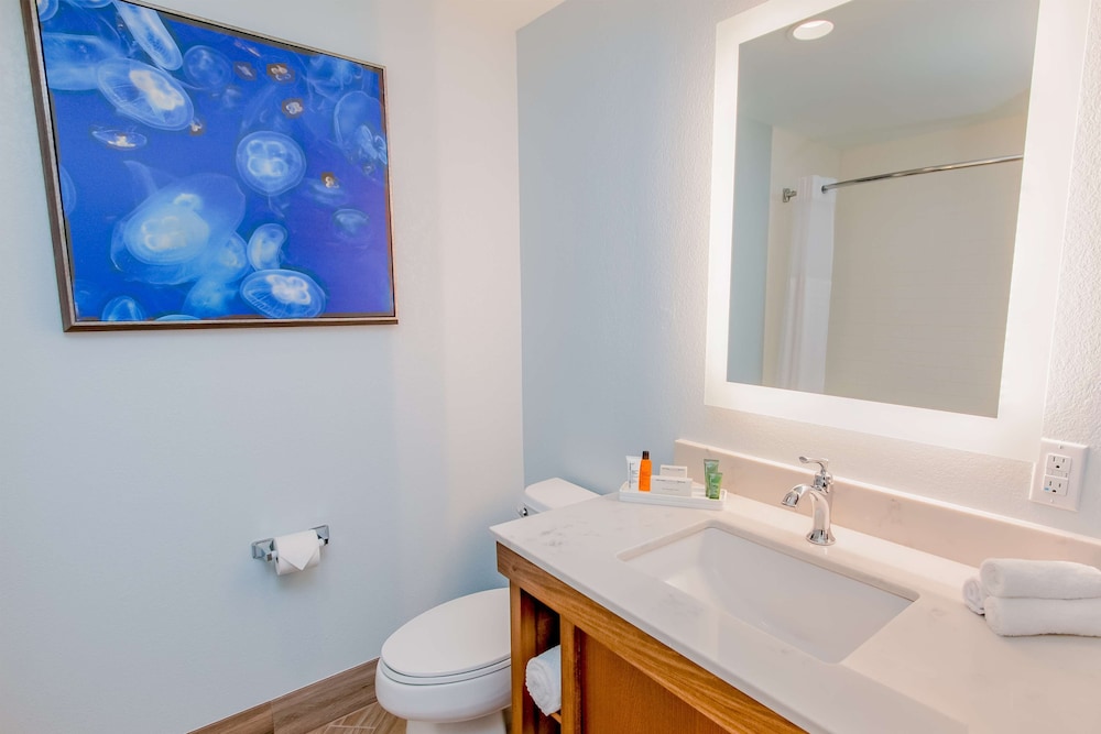 Hilton Pensacola Beach - photo 104