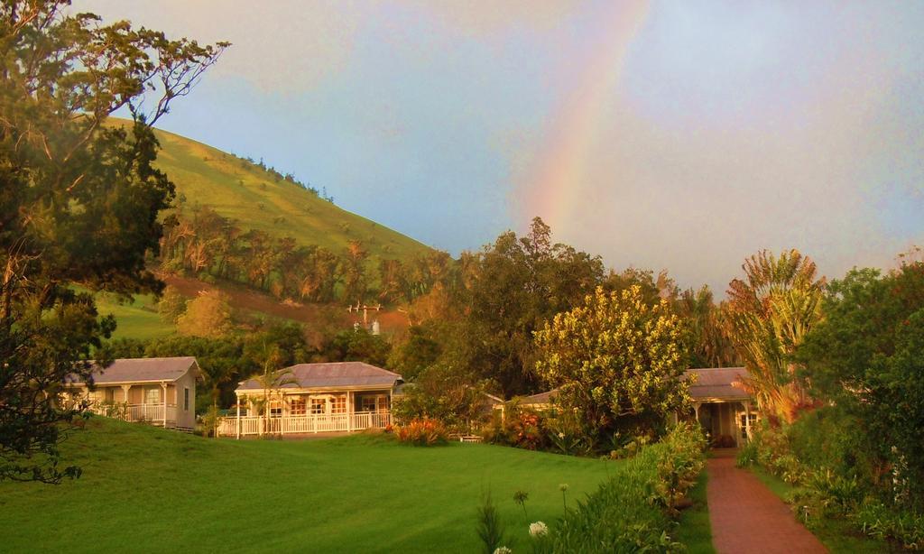 Jacaranda Inn - photo 2
