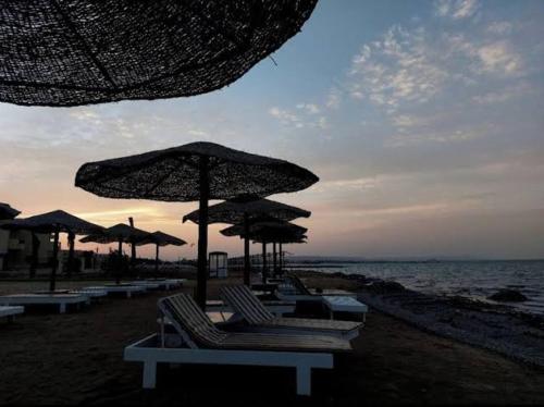 Fanadir bay compound - last minute hotel in Unknown City