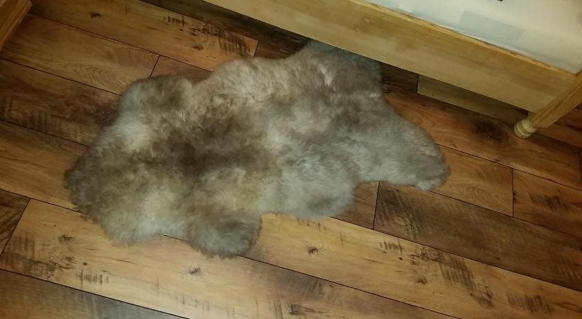 Zimmer im Lungau in Sankt Michael Im Lungau, Austria