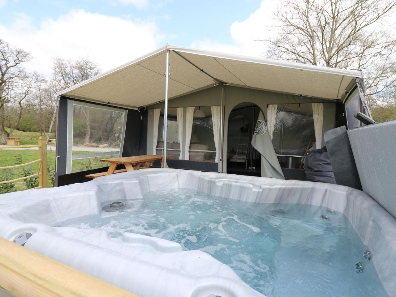Otter in Rhayader, United Kingdom