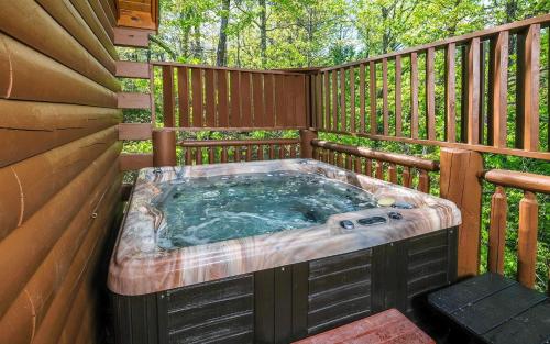 A View to A Dream - last minute hotel in Sevierville