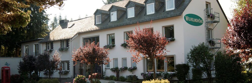 Hotel Wilhelmshöhe — hotel in Ulmen