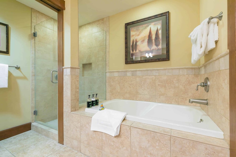 Northstar California Resort by East West Hospitality - photo 371