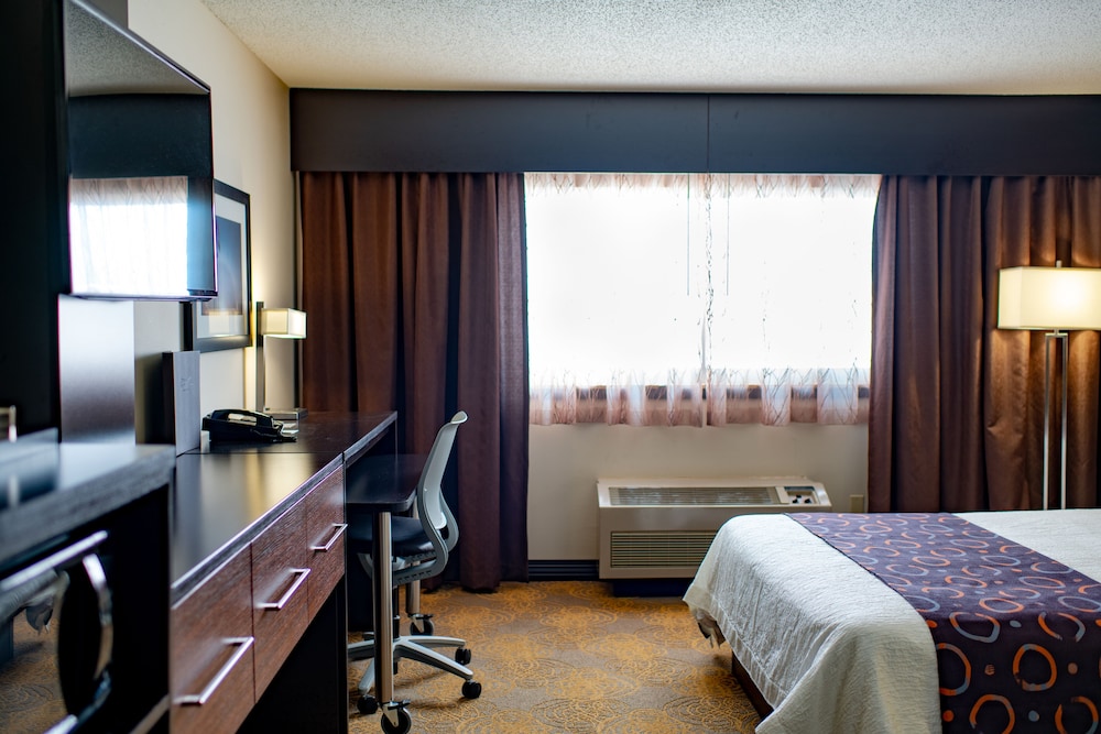 Royal River Casino and Hotel - photo 12