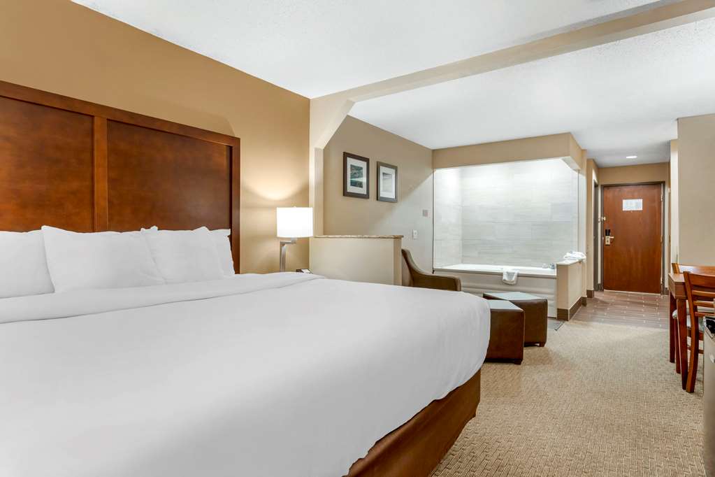 Comfort Inn Sault Sainte Marie - photo 27