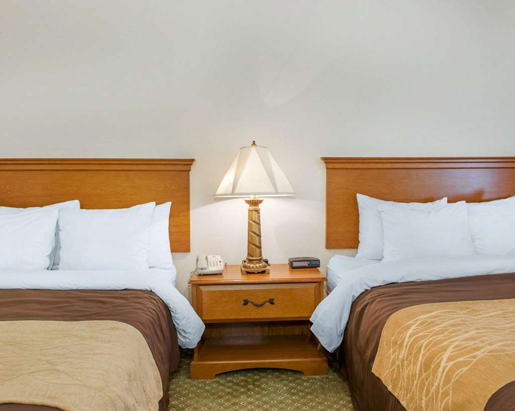 Quality Inn & Suites Near Amish Country - photo 3