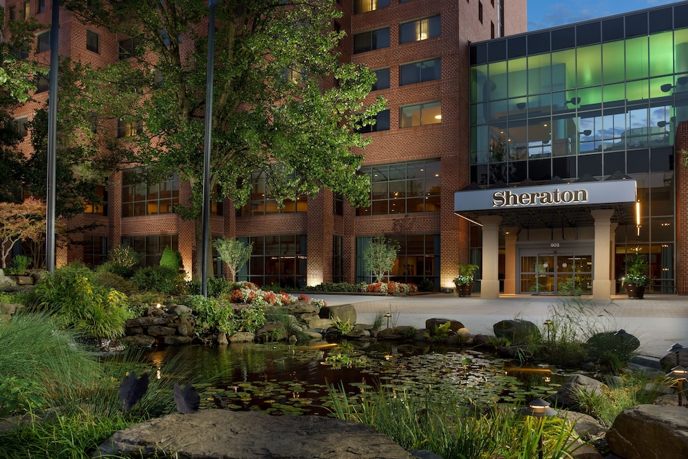 Sheraton Baltimore North Hotel - photo 38
