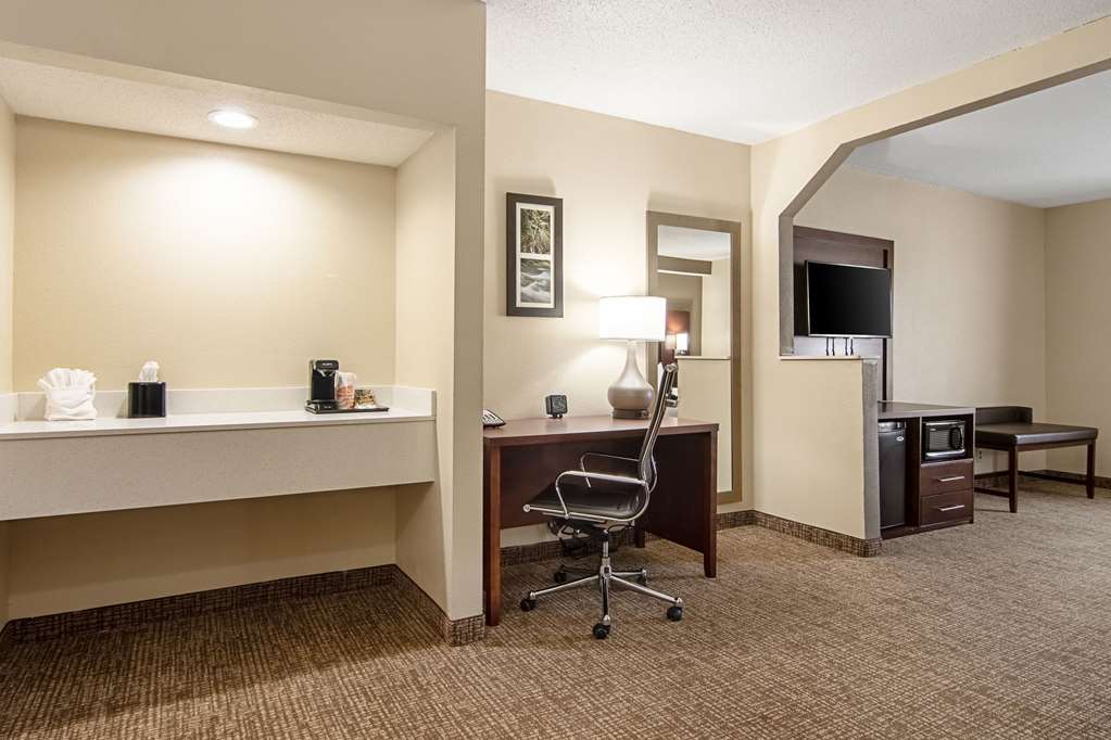 Comfort Suites Knoxville Airport - photo 22