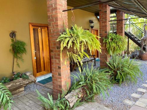 Olive Leaves Guest House — Gaborone — photo 5