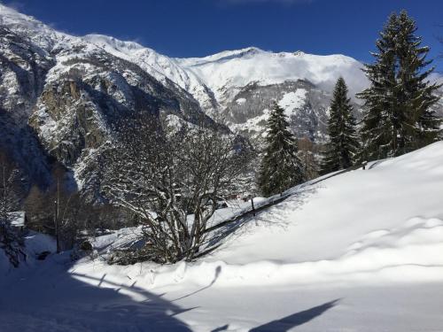 Chalet du Chef — Grachen — photo 5