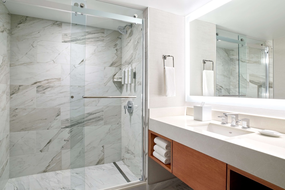 Embassy Suites by Hilton Washington D.C. Convention Center - photo 27