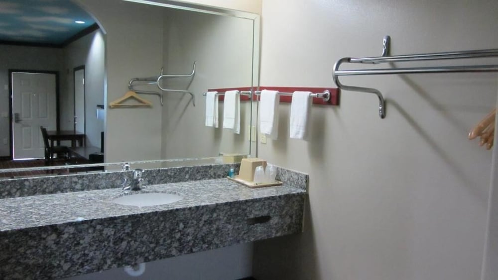 Palace Inn Greenspoint - photo 11