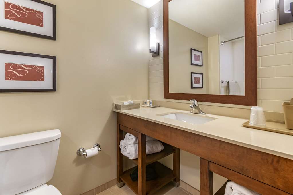 Comfort Suites Manheim Lancaster - photo 23