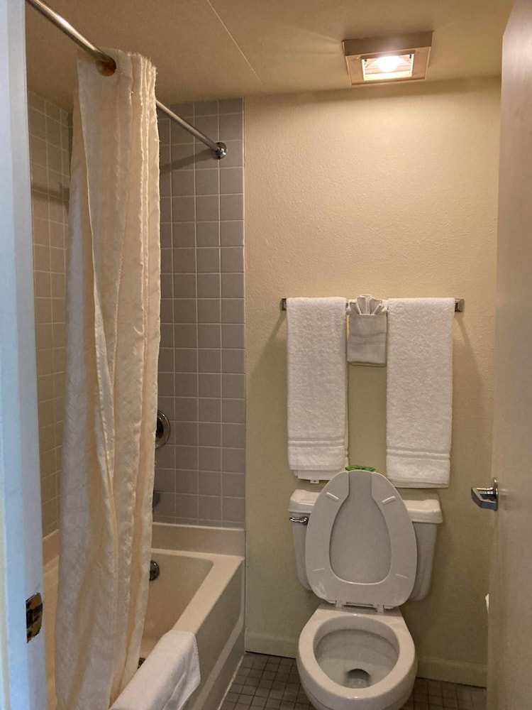 Americourt Hotel - photo 29