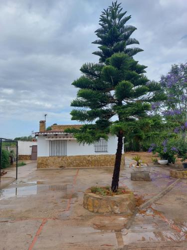 Les Berreries - last minute hotel in Montroy