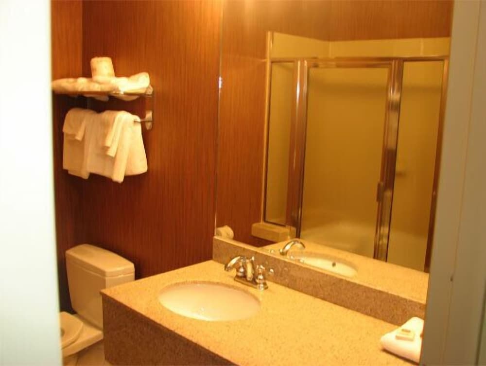 Randolph Inn and Suites - photo 25